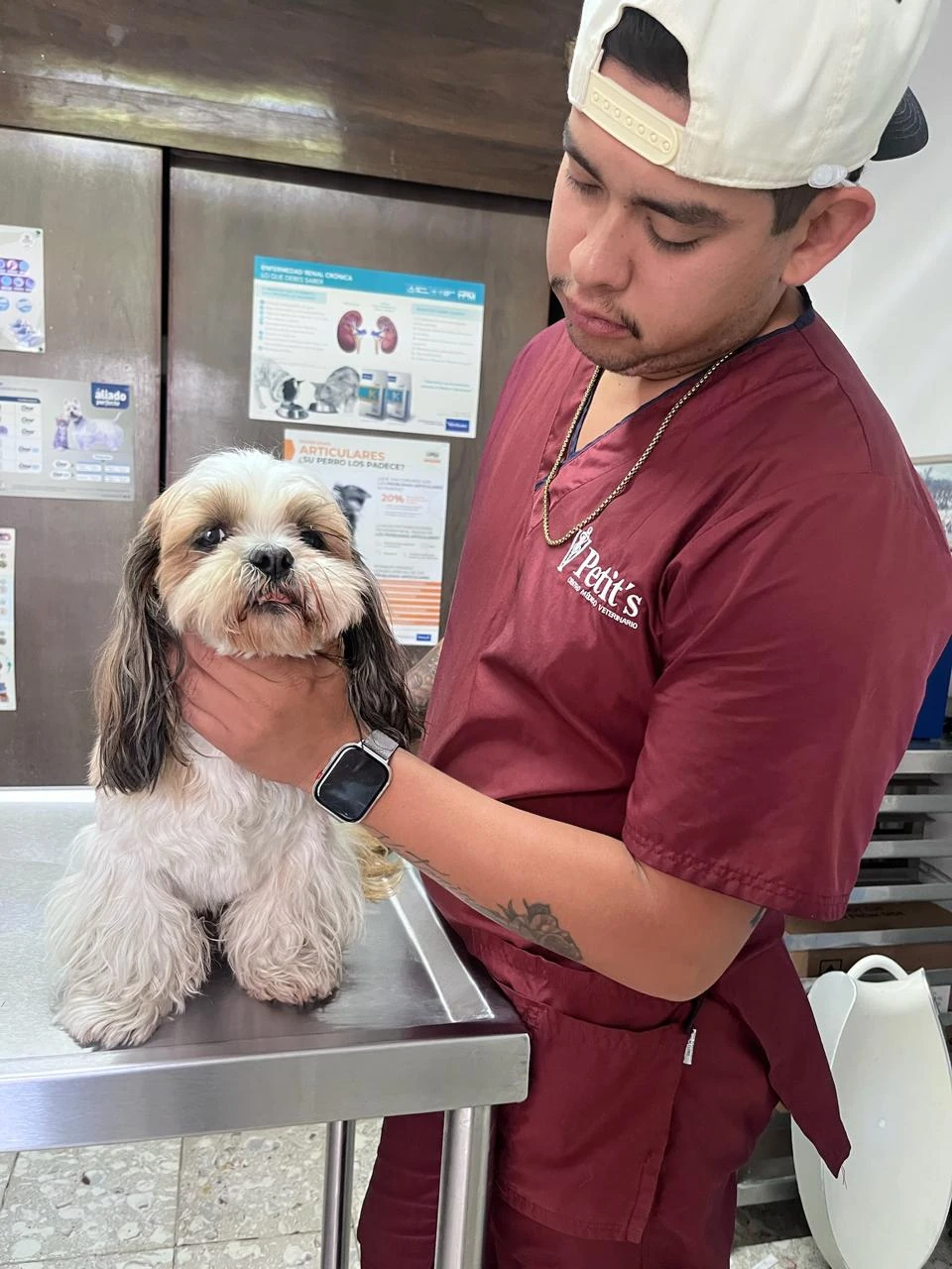 Perro durante su consulta veterinaria en Petit's