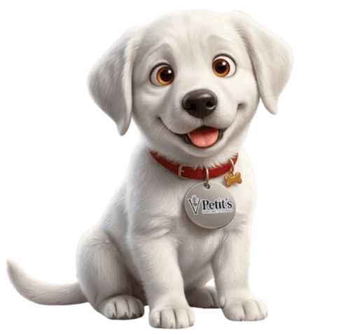 Pancho, la mascota de Petit's
